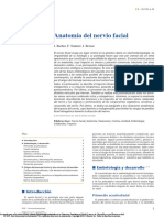 Anatomia N. Facial