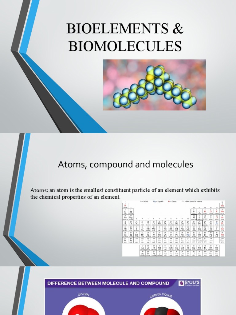 Primary Bioelements in Living Organisms | PDF | Calcium | Biomolecules