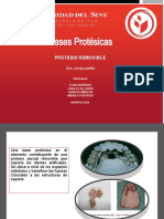Bases Protesicas