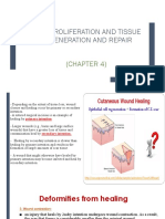 Cell Proliferation and Tissue Regeneration and Repair: (Chapter 4)