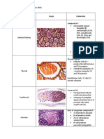 Endocrine Gland Histology