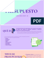 Elementos Del Presupuesto