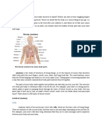 The Human Anatomy and What It Studies