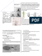 Rangkuman Fotosintesis