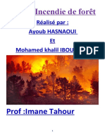 Réalisé Par: Ayoub Hasnaoui Et Mohamed Khalil IBOUCHNA: Projet:Incendie de Forêt