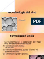 Microbiologia Del Vino