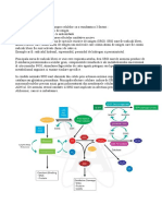 Stresul Oxidativ