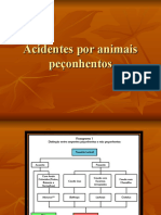 Animais Peçonhentos