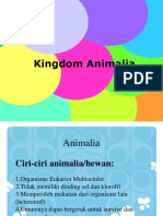 Kingdom Animalia PDF