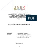 Manuel de Sousa - Cuestionario Servicio de Policia Comunal