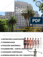 Anatomía humana: generalidades del sistema esquelético y articular