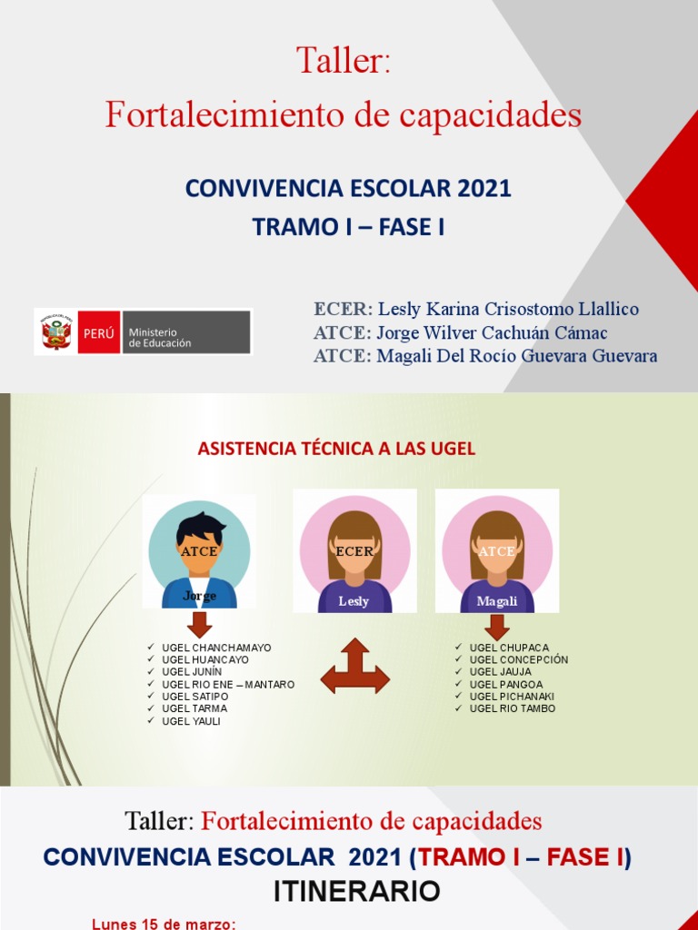 Taller de Convivencia Escolar 2021 | PDF | Educación avanzada