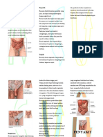 Leaflet Hernia