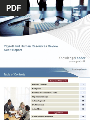 Payroll-HR Review Audit Report