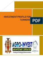 Investment Profile For Turmeric: April 2019