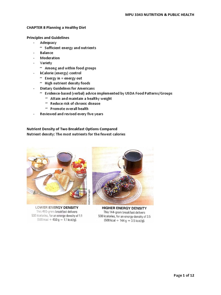 chapter-8-planning-a-healthy-diet-pdf-healthy-diet-foods