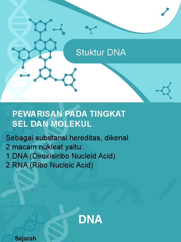 Struktur dan Basa Nitrogen DNA | PDF