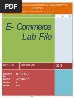 E Commerce File - File