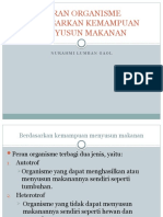 Peran Organisme Berdasarkan Kemampuan Menyusun Makanan