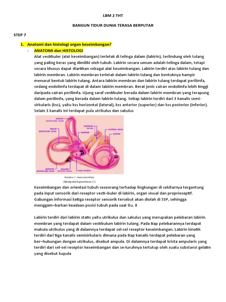 Anatomi dan Fisiologi Keseimbangan Telinga Dalam | PDF
