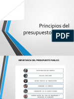 Principios Del Presupuesto