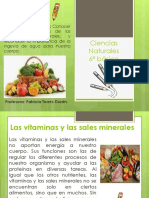 Nutrientes y Vitaminas, 5° Básico