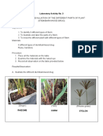 Organoleptic Evaluation of Different Parts of Plant