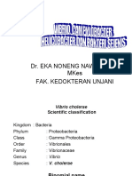 REV - Vibrio Dan Campilobacter Eka