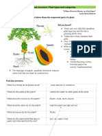 Plant Structure Types Final-18714