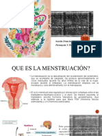 Fisiología de la menstruación presentacion