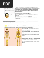 APPARATO  LOCOMOTORE