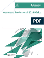 GeoMedia Professional 2014 Basico