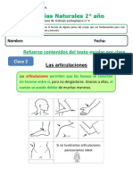 2° - Envío - Clase 4 Las Articulaciones