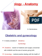 Gynecology - Anatomy: Dr. Fidia Mumtahana