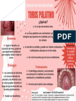 Flyer de Torus Palatino