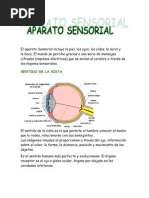 Download Aparato sensorial by Nata Ramos SN50548705 doc pdf