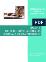 Dcivil Iii Tema #5 Bienes en Relación Con Las Personas A Quienes Pertenecen