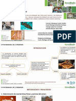 Diapositivas Desarrollo Eva#3