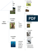 Cuadro Sinoptico - Examen de Ian