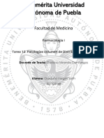 12.patologías Volumen de Distribución (A Mano)