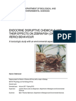 Endocrine Disruptive Chemicals and Their Effects On Zebrafish (Danio