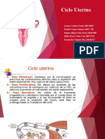 Ciclo Uterino