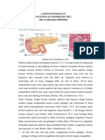 Iif Afifa - LP COvid+DM