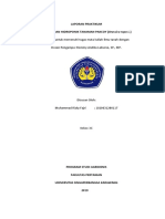 PERSEMAIAN HIDROPONIK TANAMAN PAKCOY (Brassica Rapa L.)