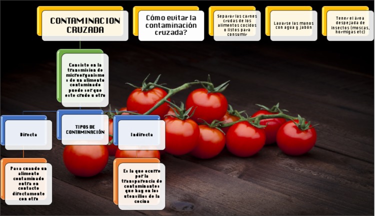 Mapa Conceptual de Los Alimentos | PDF