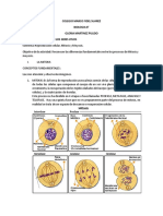 Mitosis y Meyosis