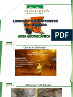 Lanzado con shotcrete_AGD