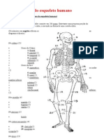 Lista de ossos do esqueleto humano documento