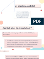 Sistem Muskuloskeletal - Kelompok 4