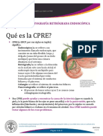 Colangiopancreatografía Retrógrada Endoscópica (Cpre)